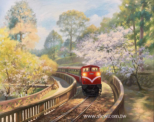 Alishan Forest Railway with cherry blossoms 沼平櫻花道_阿里山森林鐵路